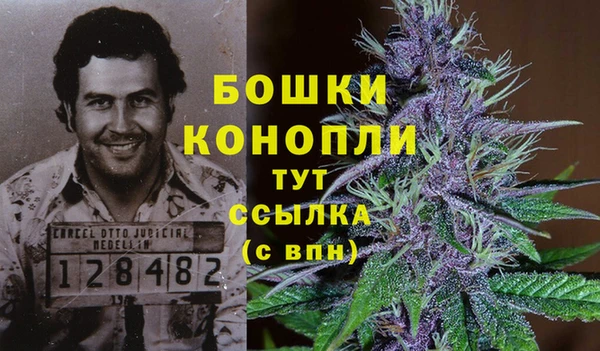 СК Абинск