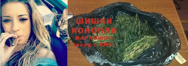 СК Абинск