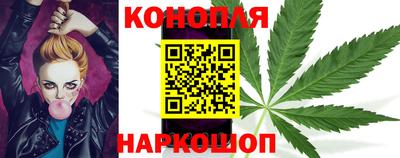 крисы Братск