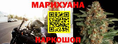 крисы Братск