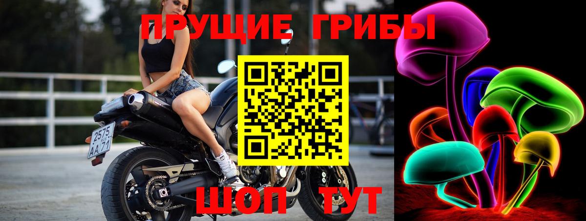Галлюциногенные грибы Psilocybe  Вход с VPN  Сафоново  Галлюциногенные грибы Psilocybe 